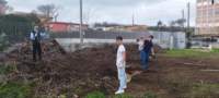 img_20240103_111600_small.jpg