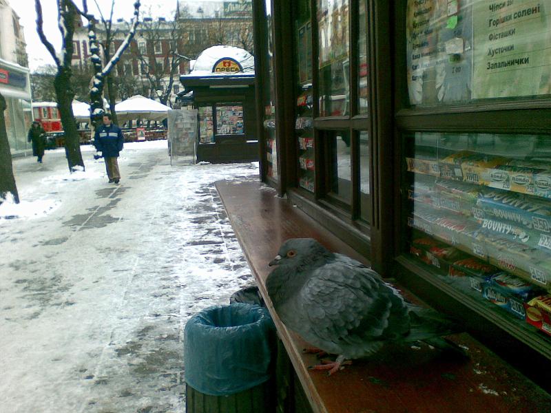 241120083077.jpg