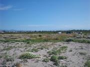 Foto0036