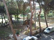 Foto0238