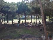 Foto0239