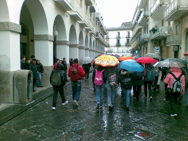 101220083338.jpg