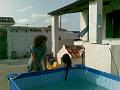 080820082147
