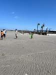 img20250708wa0021_small.jpg