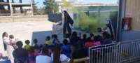 img_20250711_111235_small.jpg