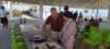 img20250629wa0030_small.jpg